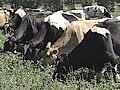 still image from video